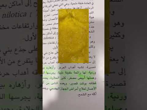 عسل الاثل الخالص حصريا لدى عسل الدياني االبحرين معلومات وتفاصيل وفوايد للدكتور احمد الغامدي