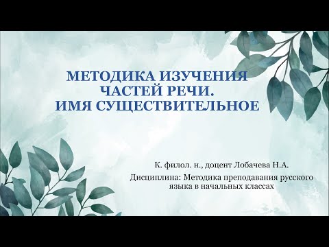 Лекция 14. Методика изучения частей речи. Имя существительное.