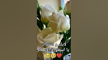 #القارئ_محمد_هشام_حسن #تلاوة_هادئة #محمد_هشام #سورة_البقرة #اية_الكرسي #اكسبلور #explore