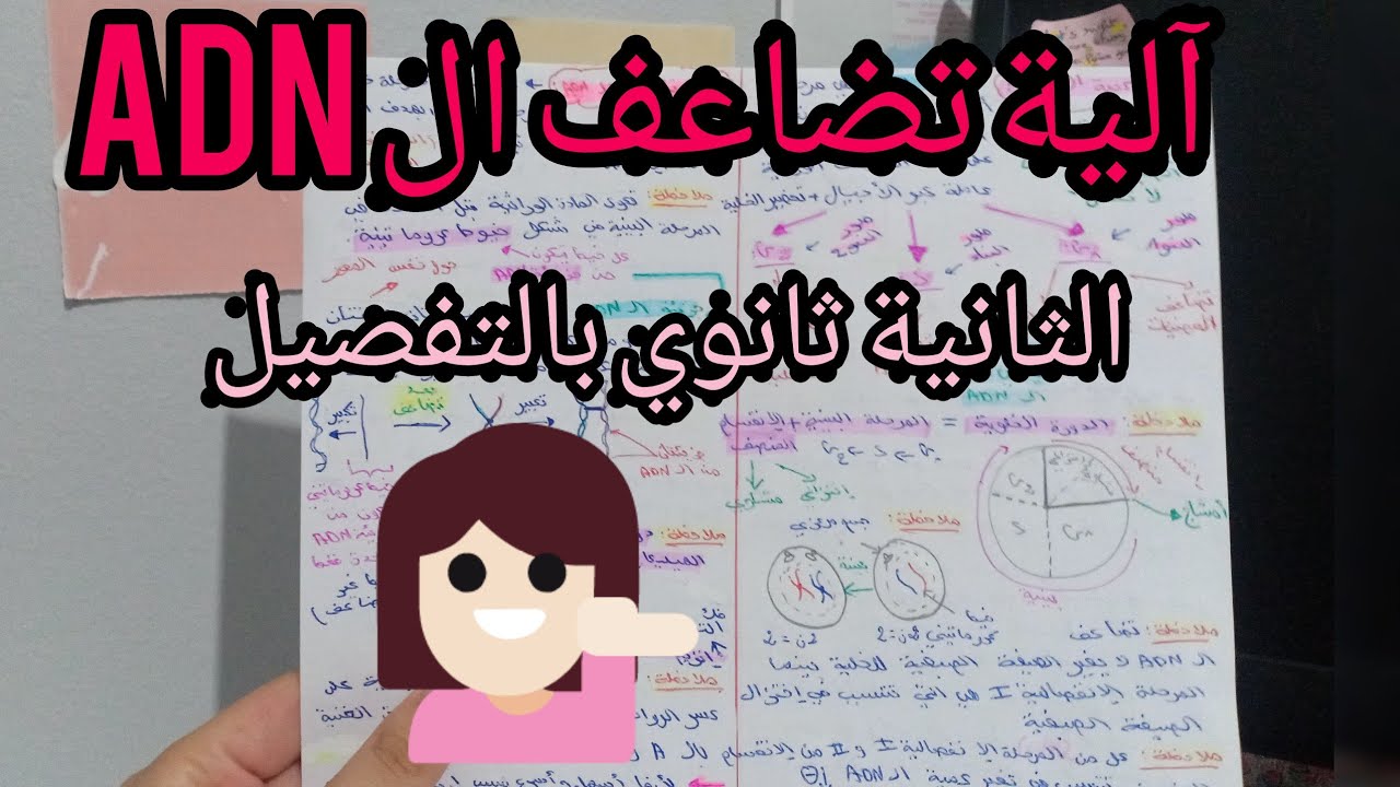 آلية تضاعف ال ADN ( شرح مفصل ) 🧬🧪