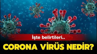 Korona Virüsü Nedir  Corona virüsü hayvanlar arasında yaygın olan büyük bir virüs grubudur