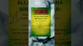 🌿 “Allah’tan Sana Bir Mesaj Var” Bu Söz Kalbine Dokunacak 💫