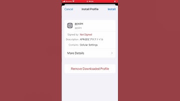 How to active Docomo sim on iOS (APN in the describtion)