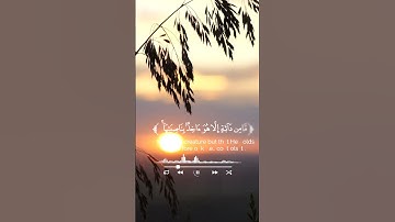 إني توكلت على الله | القارئ مشاري فالح | سورة هود 🤍💬لاتخرج قبل أن تكتب يالله