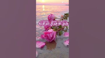 بسم الله ما شاء الله تبارك الرحمن ما اجمل صوت القران الكريم