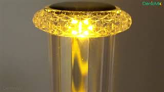 DenicMic Solar Pathway Lights Outdoor (2)