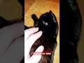 Марсик отдыхает)))