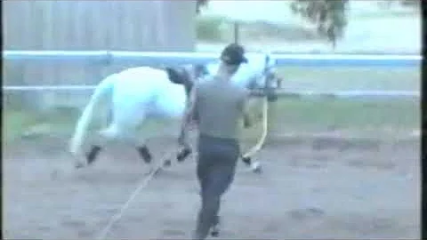 Me competing some of My Horses over the years