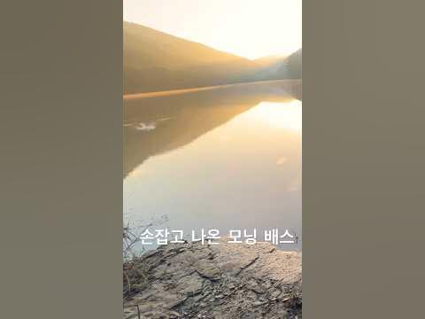 오늘 아침 배스 입니다.(feat. 정지영 님) #bassfishing #fishing - YouTube 오늘 아침 배스 입니다.(Feat. 정지영 님) #Bassfishing #Fishing - Youtube