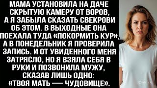видео: Я забыла сказать свекрови, что мама поставила на даче камеру. Посмотрев запись меня затрясло от шока картинка: Я забыла сказать свекрови, что мама поставила на даче камеру. Посмотрев запись меня затрясло от шока