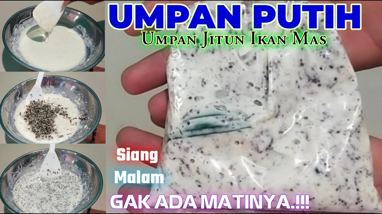 PAKE RACIKAN INI🔥💥Joki Baru Sampe Gemetaran Boss...!!! Strek besar Besar Boskuuuh