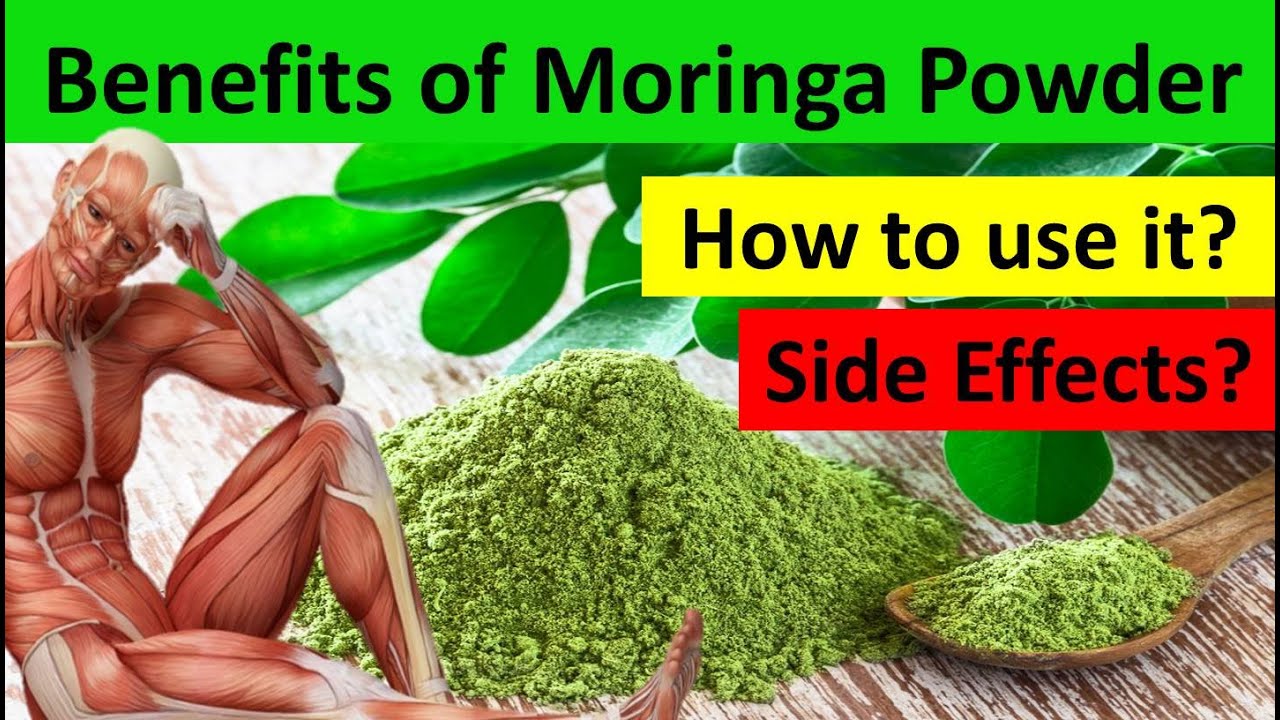 Benefits of Moringa Powder | How to Use Moringa Powder | Side Effects of Moringa Powder