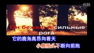 苏联歌曲 《森林的小鹿》"Лесной  олень"  - 中文版