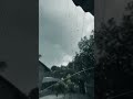 তুমি আমার স্বপ্ন আশা তুমি ভালোবাসা তোমায় না পাইলে এই জীবনে বিথ্য😅❤️‍🩹💔