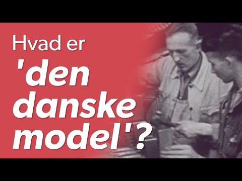 Video: Hvad Er En Model