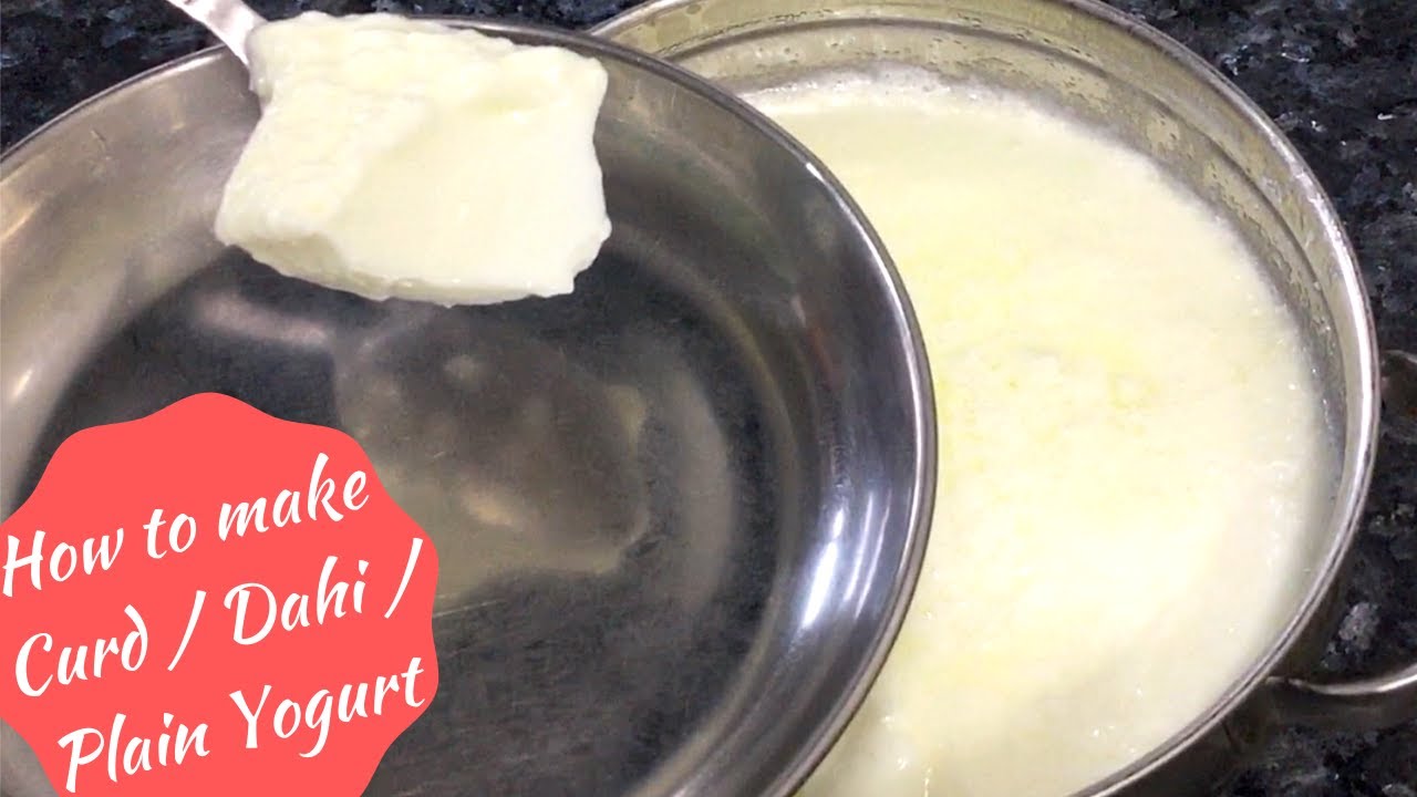 DahiPlain YogurtCurdMake at home and Never Buy from Outside!With