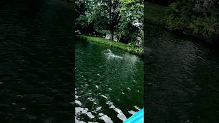 When Fishing Trip Turns Comical🤣