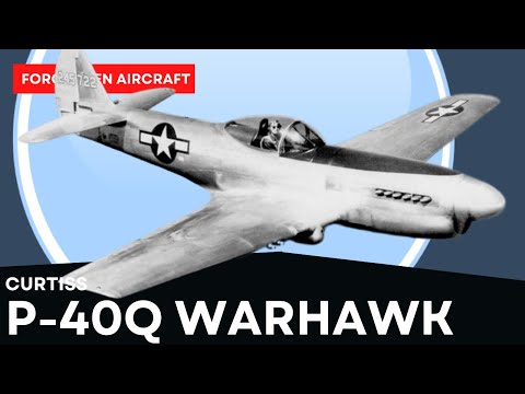 The Curtiss XP-40Q; When a Mustang and a Warhawk love each other very much…