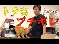 【怒と甘】短い動画を集めてみたよスペシャル