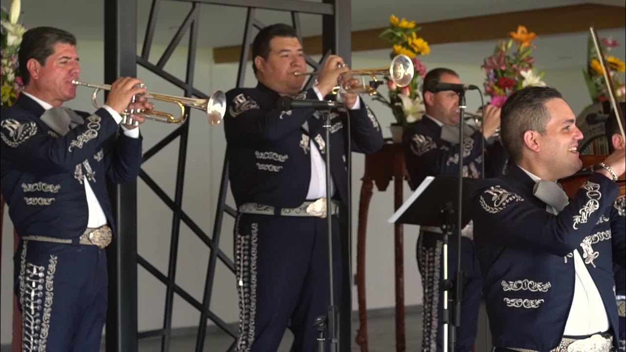 MARIACHI NUEVO TECALITLÁN / LA FERIA DE LAS FLORES MARIACHI NUEVO TECALITLÁN / LA FERIA DE LAS FLORES