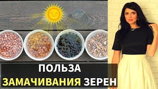 видео Семена подсолнечника, их польза и вкус