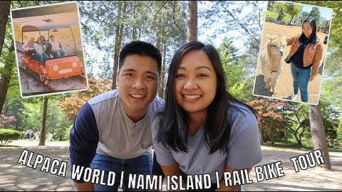 Alpaca, Nami Island & Rail Bike tour (KLOOK) | Korea Day 3 | 08.05.23 | SiianLazelTravels VLOGS