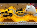 Hamster escapes room maze obstacle course prison maze