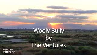 The Ventures - Wooly Bully