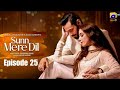 Sunn Mere Dil | Episode 25 | Wahaj Ali | Maya Ali | Usama Khan | Hira Mani Saba Hameed |