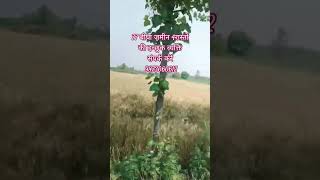#propertydeals #propertyinvesting #agriculture propperty#property #99acres #ghaziabadproperty