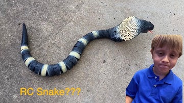 Unboxing Adventure Force Crawling Cobra! 🐍