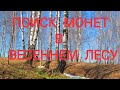 Поиск монет в весеннем лесу