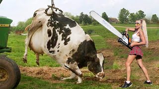 Thrilling Farming Adventure Girl with Chainsaw Tackles Dangerous Milking &amp; Tree Cutting!