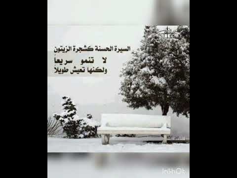 السيرة الحسنة كشجرة الزيتون