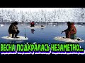 ★Рыбалка затягивает/Приколы на рыбалке/Случаи на зимней рыбалке/Рыбалка на щуку/ВЕСЁЛАЯ РЫБАЛКА/★