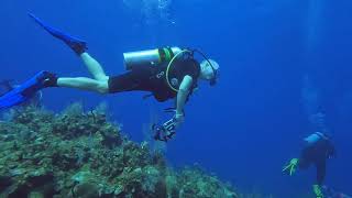 GRAND CAYMAN DAY 1 DIVE MAY 2024