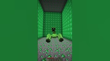 Exploring Nether Portals at Different Ranks: Where Do They Lead? #shorts #meme #memes