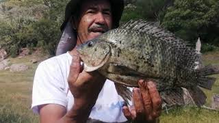 Visitando la presa del Chique pesca con chuy