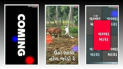 New Gujarati Timli Status_2022 Govind Rathva New Timli Status