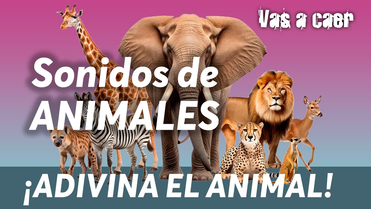Sonidos de animales para Niños 🐻 ¡Adivina el animal! Test para niños ...