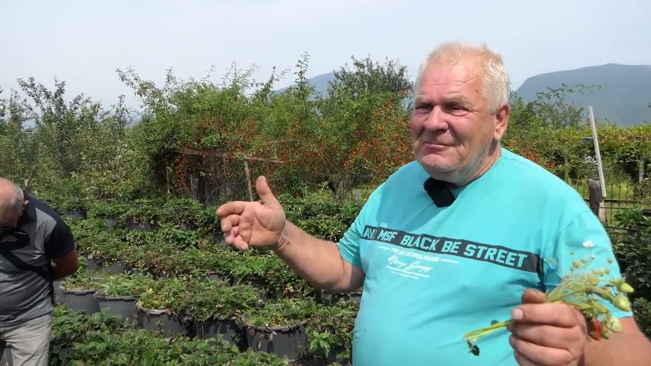 Ovaj čovjek je čudo od čovjeka, nema šta ne proizvodi i sve uspije prodati