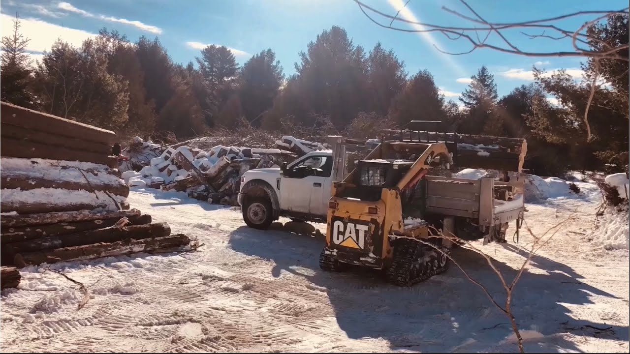 Hauling some logs and dropping some big timber! YouTube