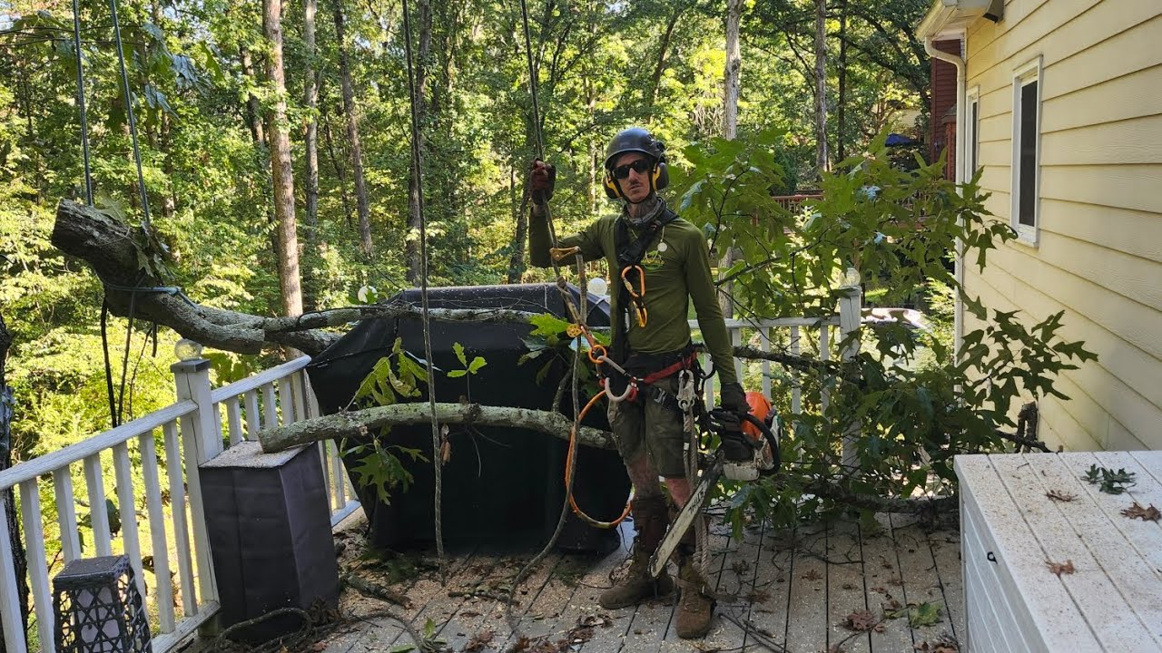 Tree Pruning with rope SRT - YouTube