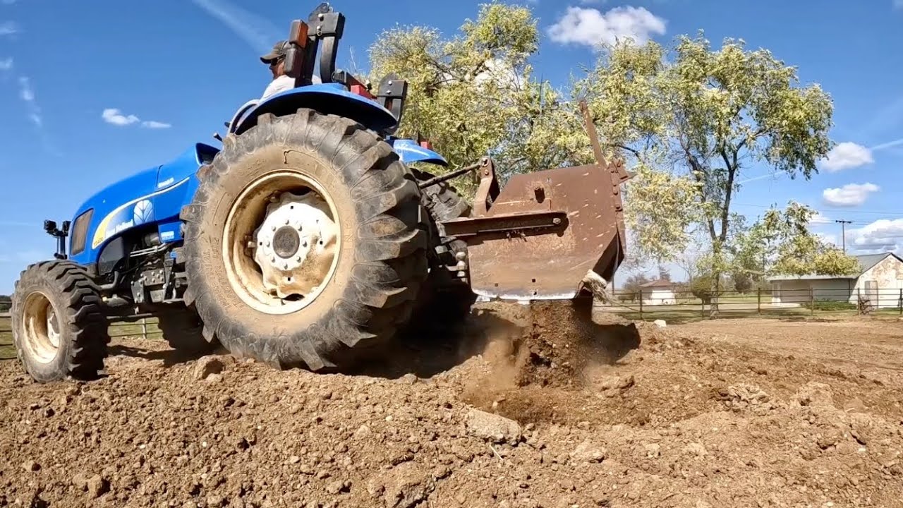 Corral Cleaning and Bottle Calf Update! YouTube