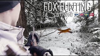 NH: Fox Hunting with Hounds | 2020