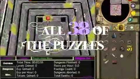 Runescape Dungeoneering Bot - iDungeon Pro - July 2011_(360p).flv