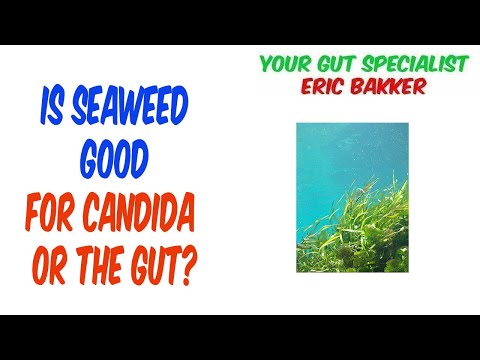 is-seaweed-good-for-candida-or-the-gut?