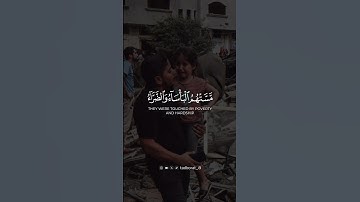 ايات مؤثرة لواقعنا الحالي (….ألا إن نصر الله قريب) القارئ وديع اليمني #تلاوات