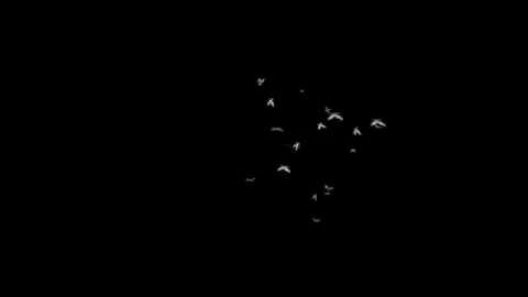 Maya Particle Instancer