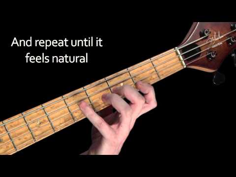 learn-bass---what-is-the-major-scale?